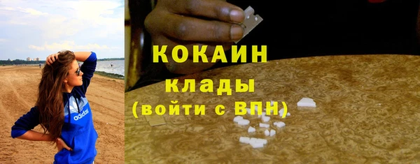 ПСИЛОЦИБИНОВЫЕ ГРИБЫ Корсаков