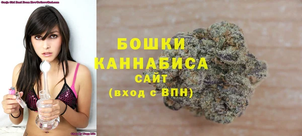 ПСИЛОЦИБИНОВЫЕ ГРИБЫ Корсаков