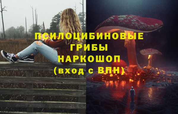 ПСИЛОЦИБИНОВЫЕ ГРИБЫ Корсаков