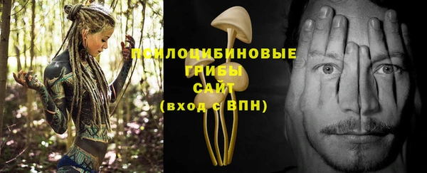 ПСИЛОЦИБИНОВЫЕ ГРИБЫ Корсаков
