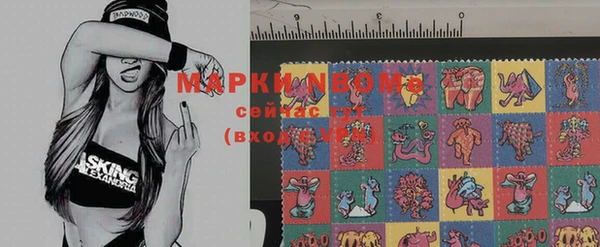 ПСИЛОЦИБИНОВЫЕ ГРИБЫ Корсаков