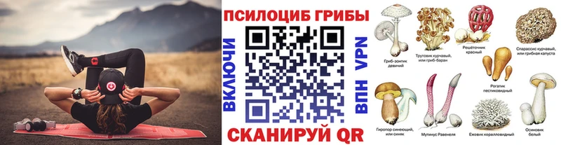 Купить где Кондрово Псилоцибиновые грибы прущие грибы